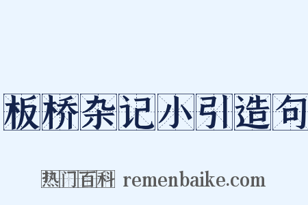 板桥杂记小引造句是什么意思的图片